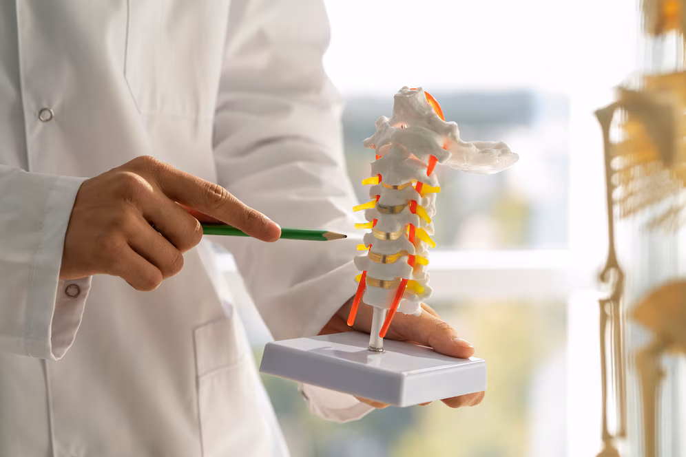A imagem mostra um médico ensinando anatomia de uma parte da coluna.